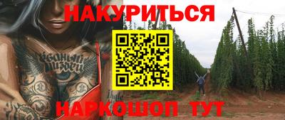 тгк Гай