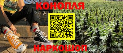 сатива Волжский