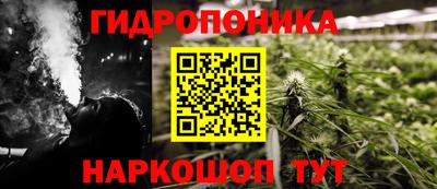 сатива Волжский