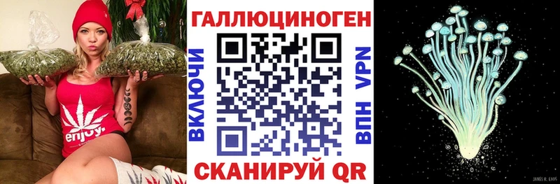 Псилоцибиновые грибы MAGIC MUSHROOMS  дарнет шоп  OMG ONION  Дивногорск 