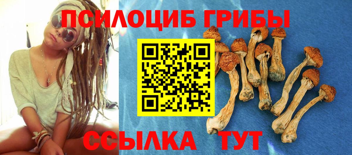 Псилоцибиновые грибы прущие грибы Дивногорск